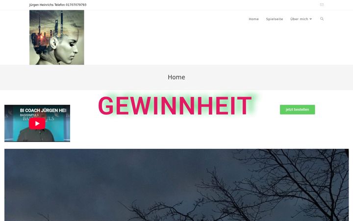 Screenshot of juergenheinrichs.de