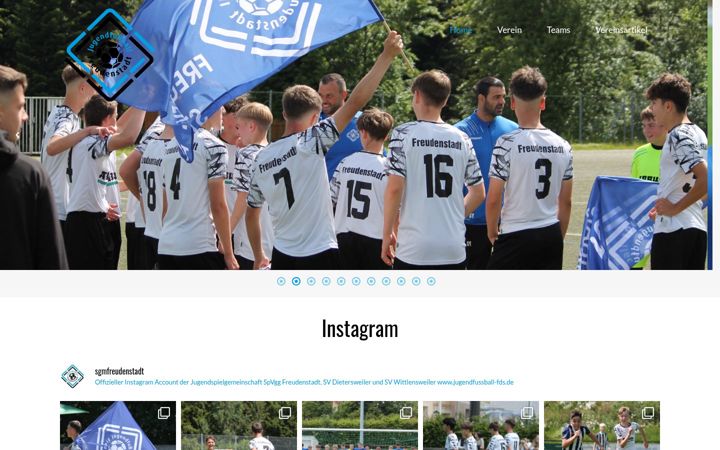 Screenshot of jugendfussball-fds.de