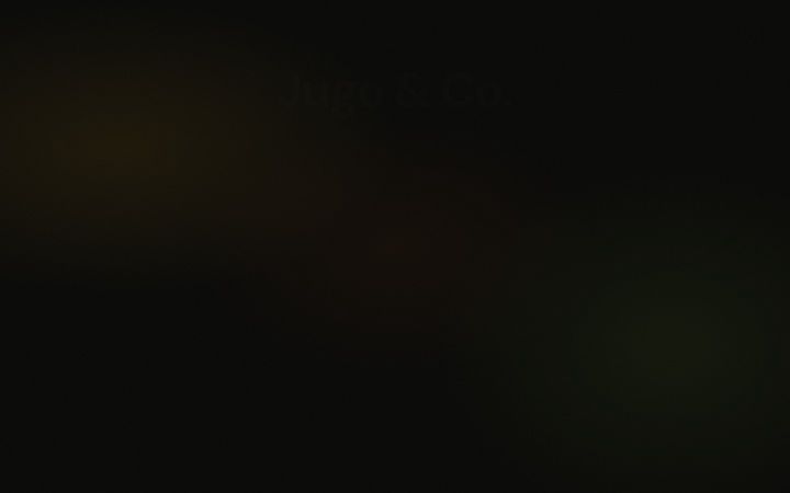 Screenshot of jugoandco.com