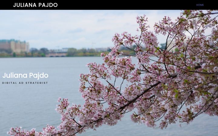 Screenshot of julianapajdo.com