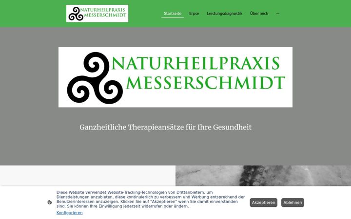 Screenshot of julianmesserschmidt.de