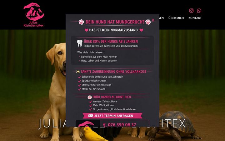 Screenshot ta' julias-kleintierspitex.ch