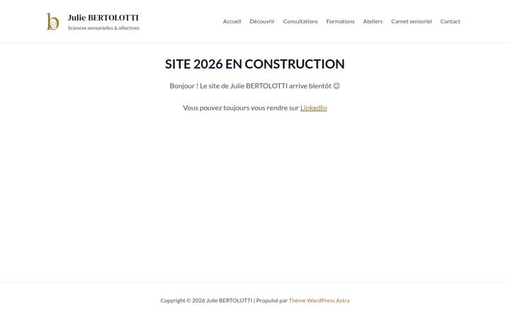 Screenshot of juliebertolotti.com