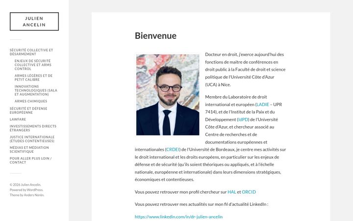 Screenshot of julien-ancelin.fr