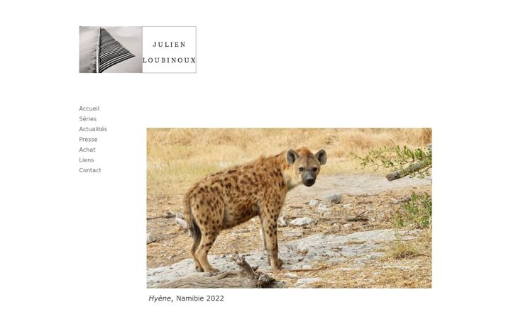Screenshot of julienloubinoux.com