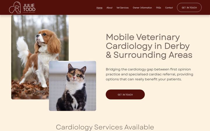 Screenshot of julietoddcardiology.co.uk