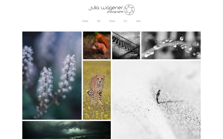 Screenshot of junebugs.de