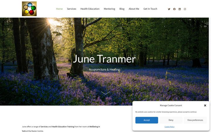 Screenshot of junetranmer.co.uk