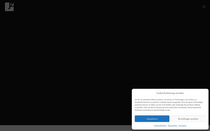 Screenshot of jungkunst-zang.de
