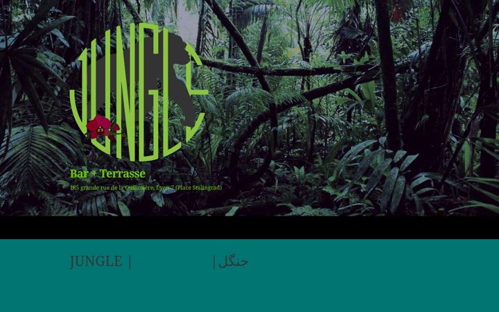 Screenshot of junglelyon.com