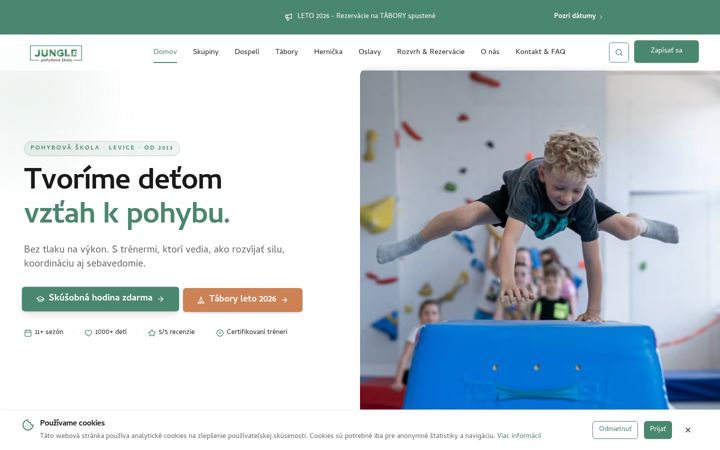 Screenshot of junglepohybovaskola.sk