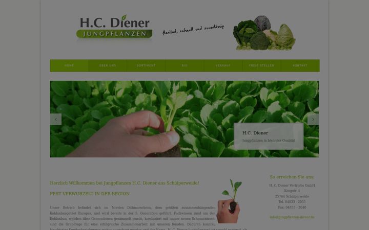 Screenshot of jungpflanzen-diener.de