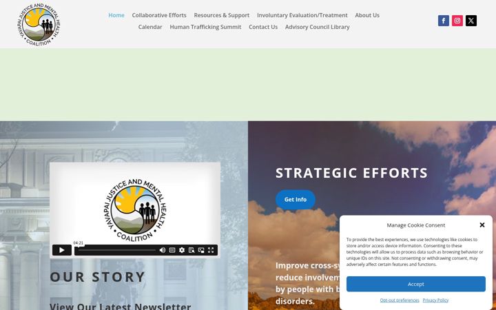 Screenshot of justicementalhealth.com