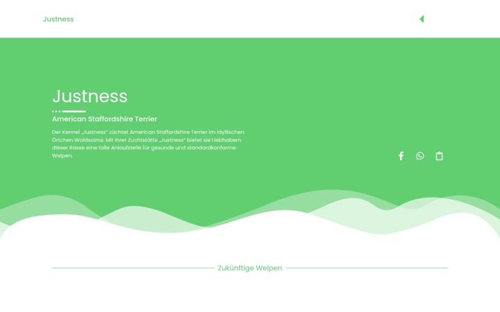 Screenshot of justness.eu