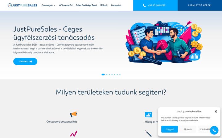 Screenshot of justpuresales.com