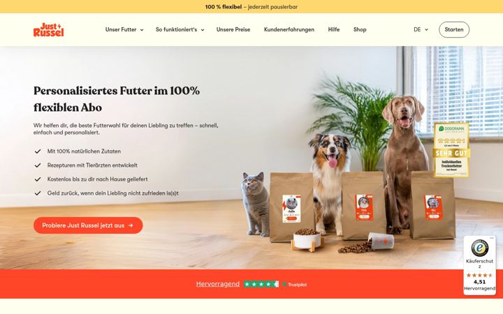 Screenshot of justrussel.de