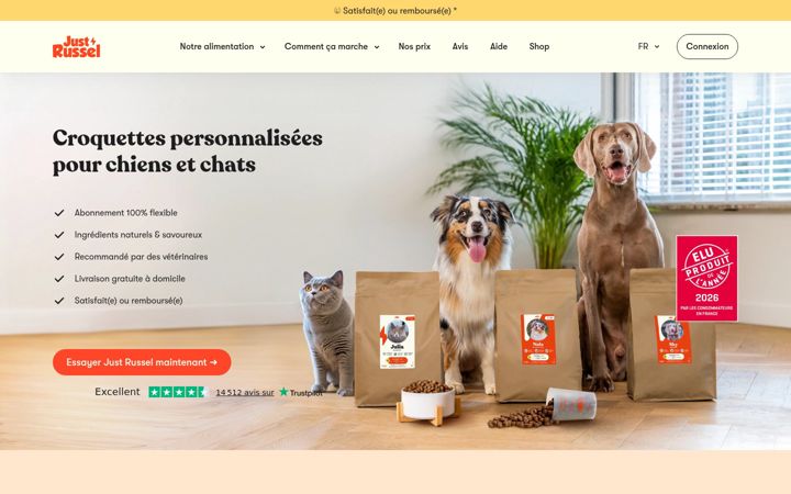 Screenshot of justrussel.fr