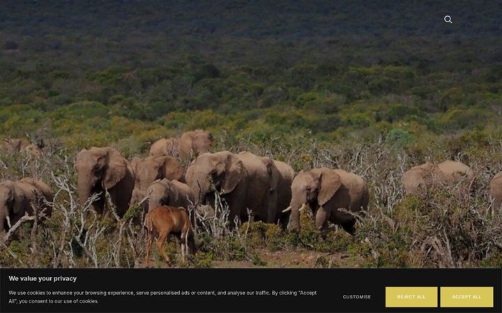 Screenshot of kabowild.com