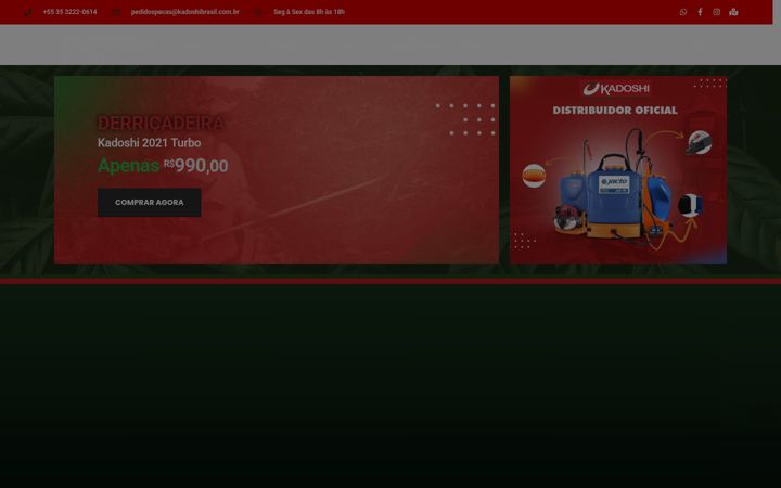 Screenshot of kadoshibrasil.com.br
