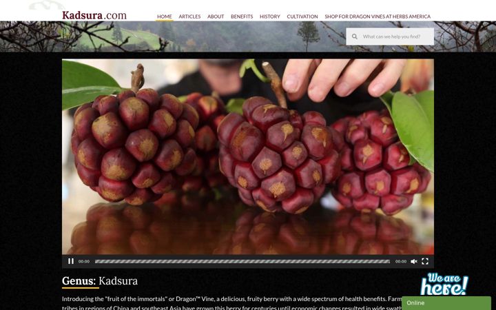Screenshot of kadsura.com