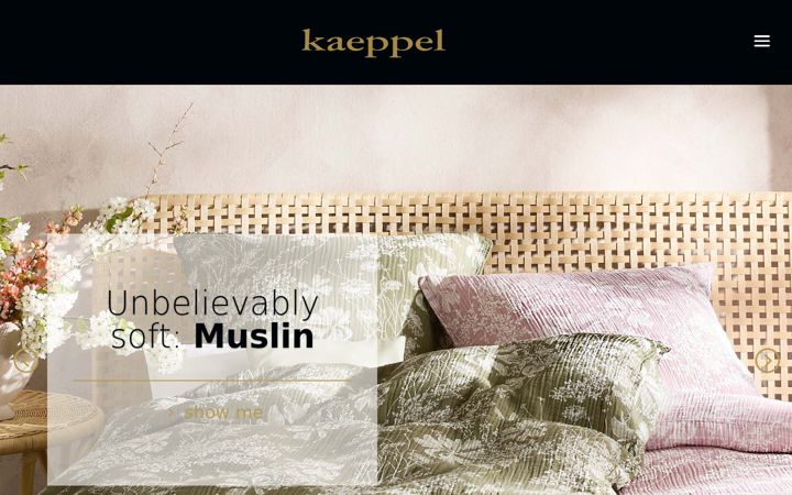 Screenshot of kaeppel.de