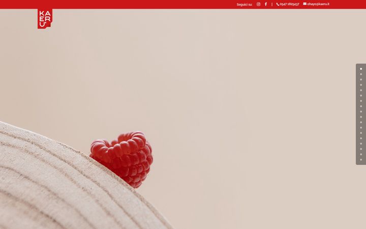 Screenshot of kaerucomunicazione.it