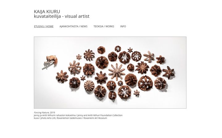 Screenshot of kaijakiuru.net
