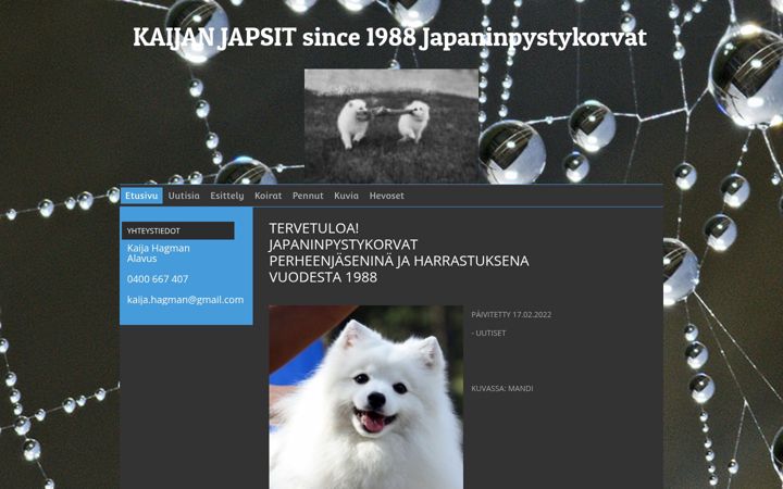 Screenshot of kaijanjapsit.com