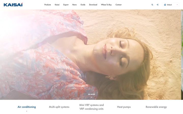 Screenshot of kaisai.com