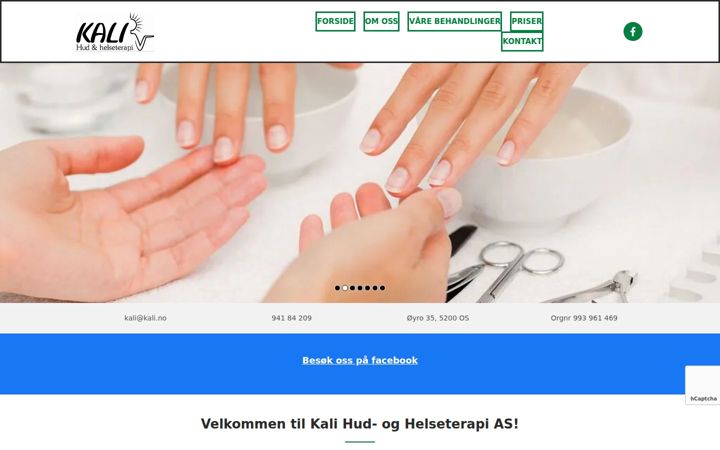 Screenshot stránky kalihudoghelse.no