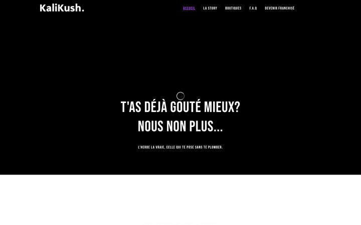 Screenshot of kalikush.fr