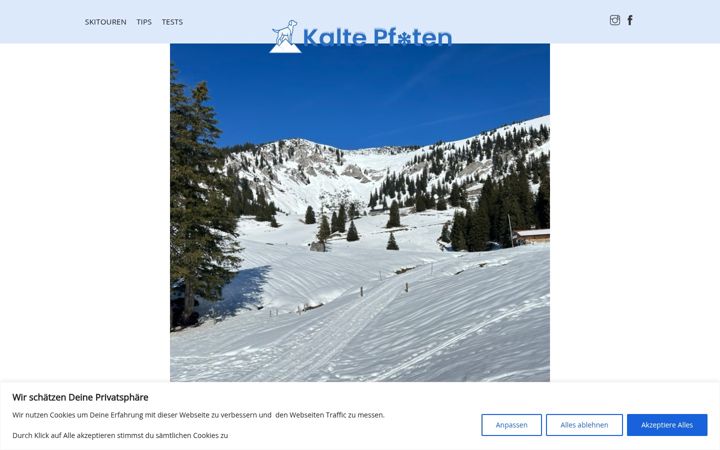 Screenshot of kalte-pfoten.de