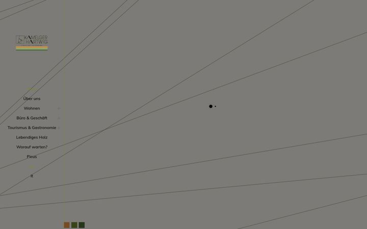 Screenshot of kamelger.it