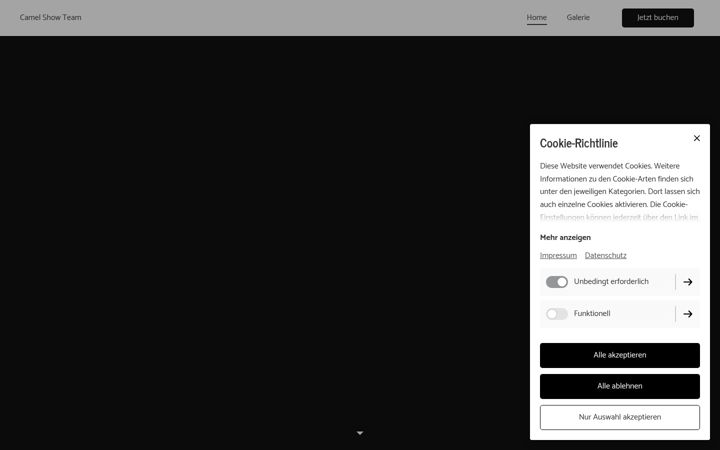 Screenshot of kamelshow.de