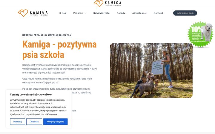 Screenshot of kamiga.pl