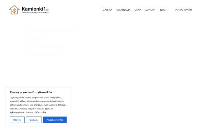 Screenshot of kamionki1.pl