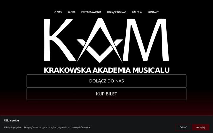 Screenshot of kamkrakow.pl