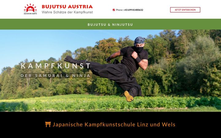 Screenshot of kampfkunstlinz.at
