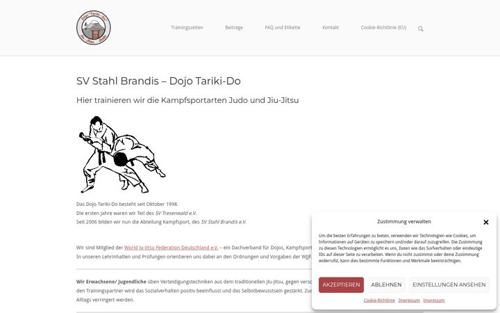 Screenshot of kampfsport-brandis.de