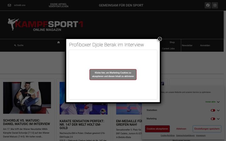 Screenshot of kampfsport1.de