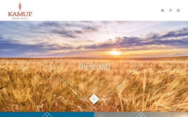 Screenshot of kamut.com