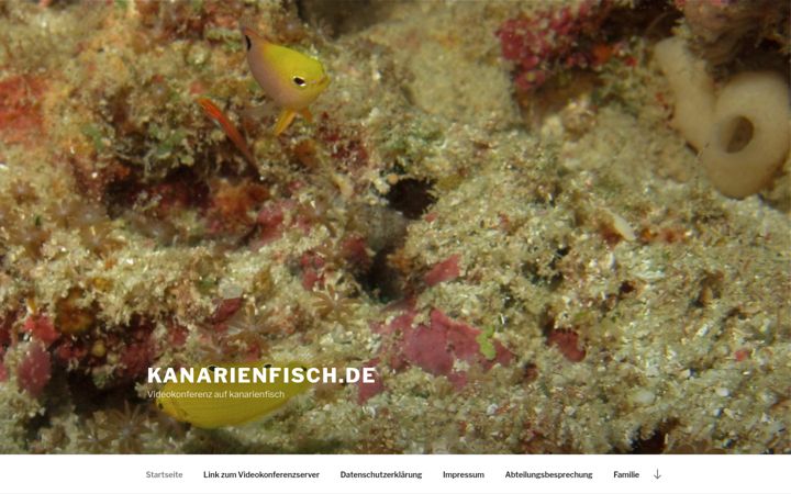 Screenshot of kanarienfisch.de