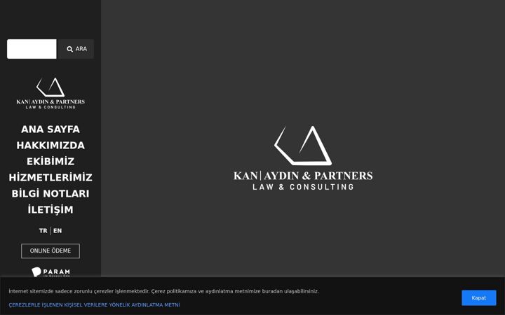Screenshot of kanaydinpartners.com