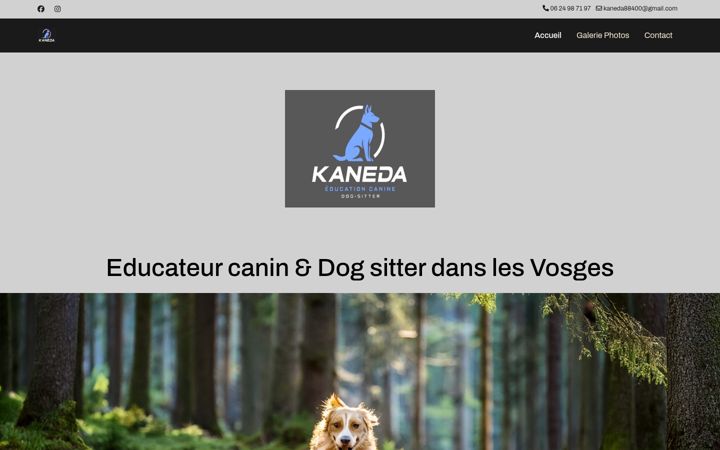 Screenshot of kaneda88.fr