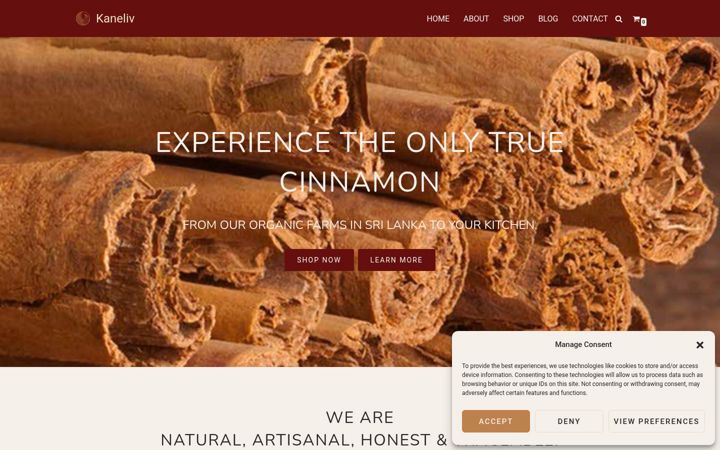 Screenshot of kaneliv.com