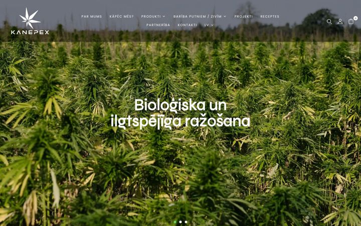 Screenshot of kanepex.com