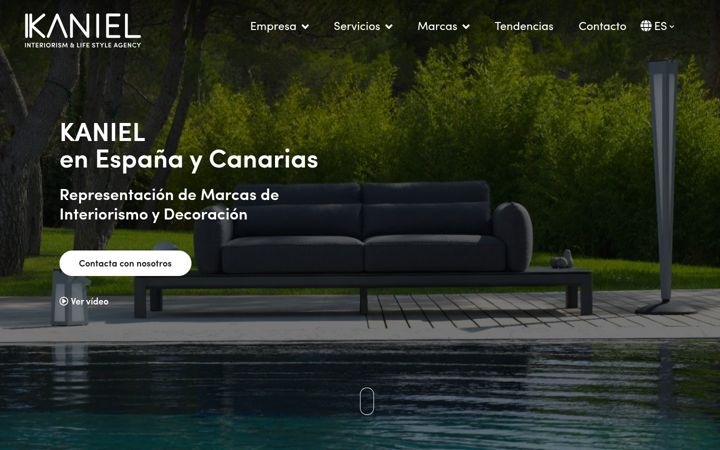 Screenshot of kaniel-agency.com