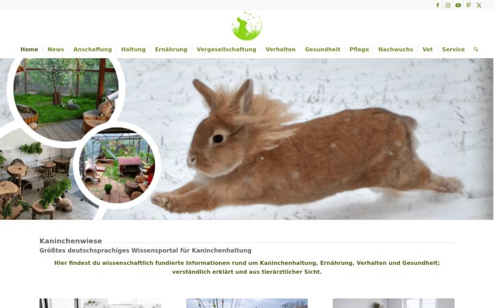 Screenshot of kaninchenwiese.de