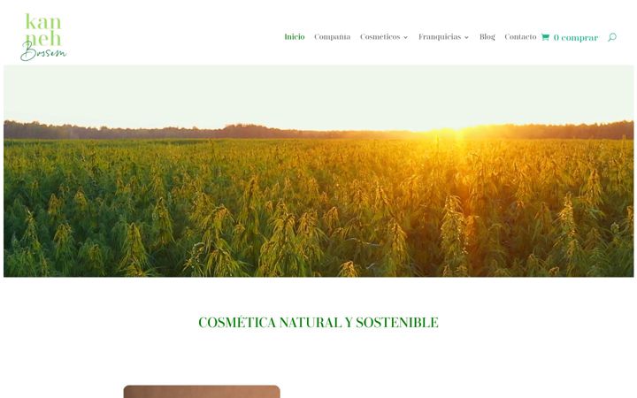 Screenshot of kannehbossem.com