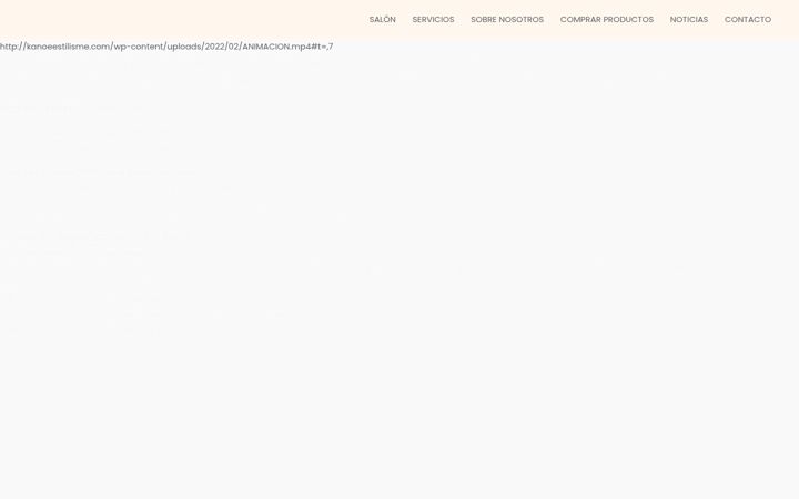 Screenshot of kanoeestilisme.com